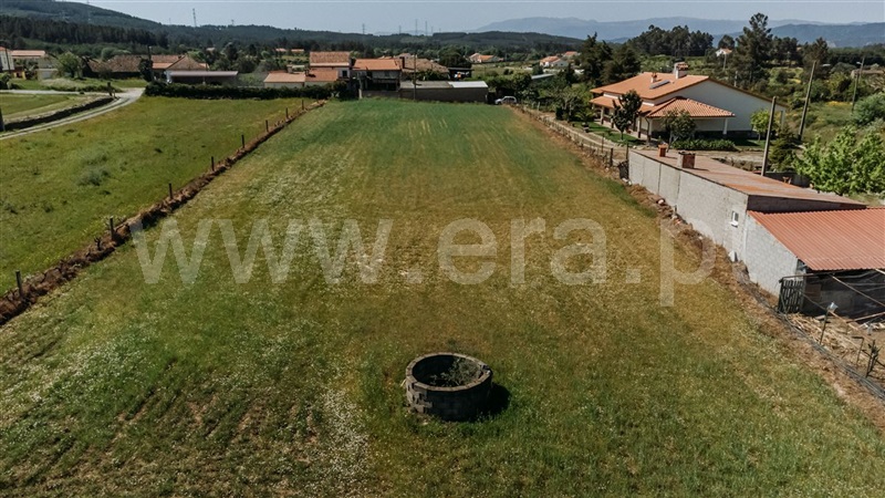 Terreno  Fundão, Enxames - 1394985 - 7