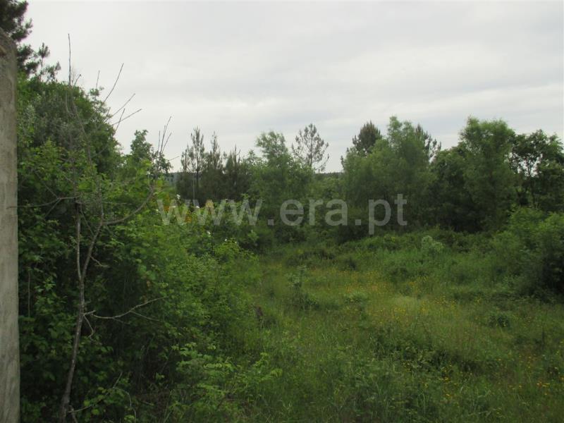 Terreno  Fundão, Enxames - 735008 - 6