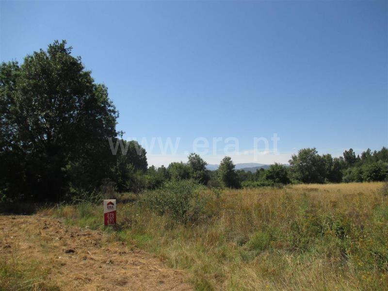 Terreno  Fundão, Enxames - 835280 - 2