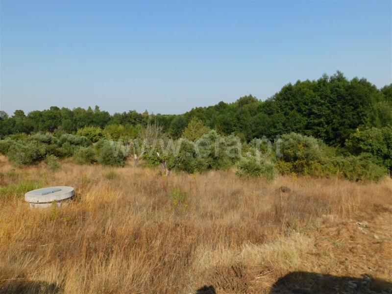 Terreno  Fundão, Enxames - 854861 - 3