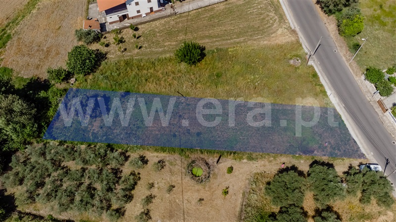 Terreno / Fundão, Escarigo