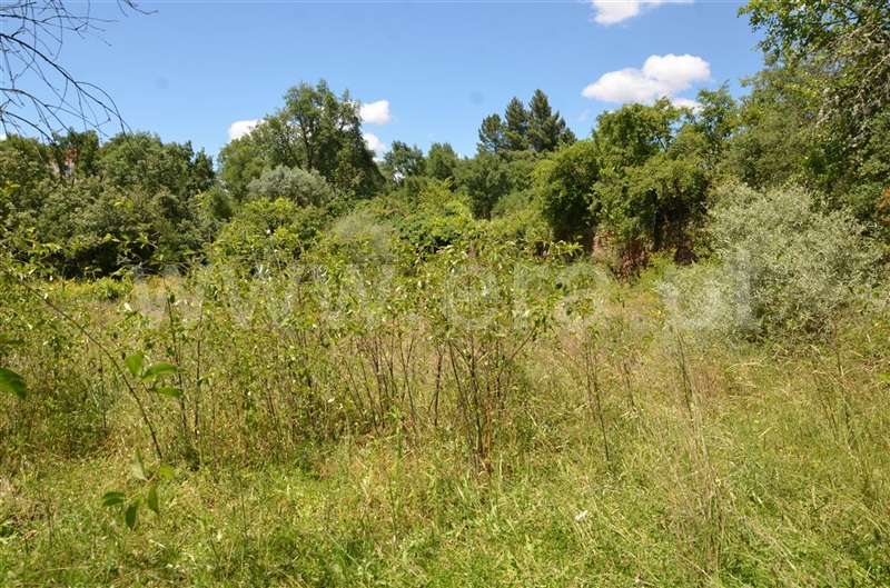 Terreno  Fundão, Fatela - 1098711 - 3