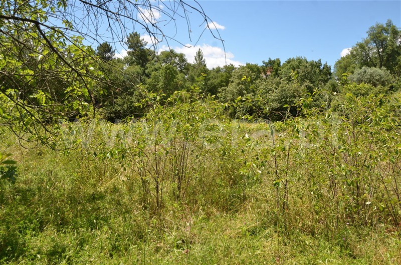 Terreno  Fundão, Fatela - 1098711 - 4