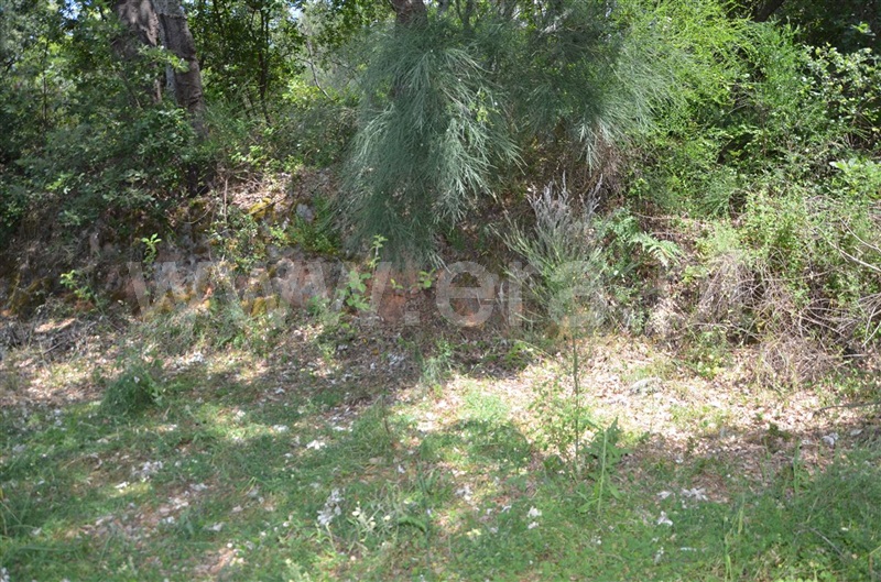 Terreno  Fundão, Fatela - 1098711 - 5