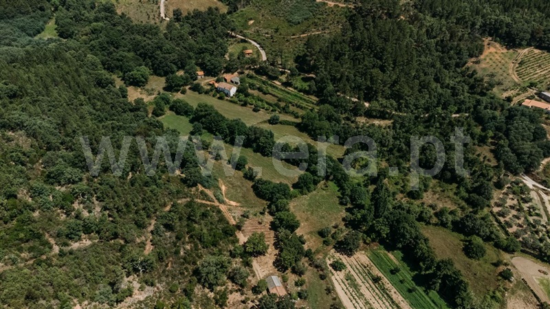 Terreno / Fundão, Fatela