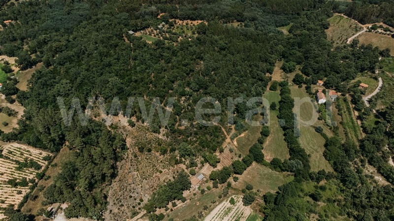 Terreno  Fundão, Fatela - 1322504 - 3