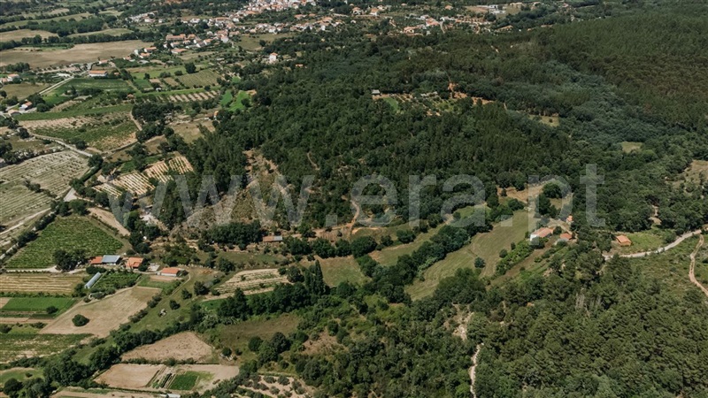 Terreno  Fundão, Fatela - 1322504 - 4