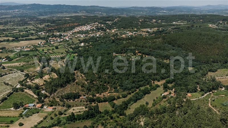 Terreno  Fundão, Fatela - 1322504 - 5