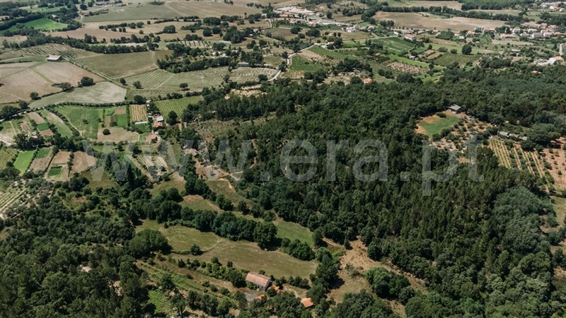 Terreno  Fundão, Fatela - 1322504 - 8