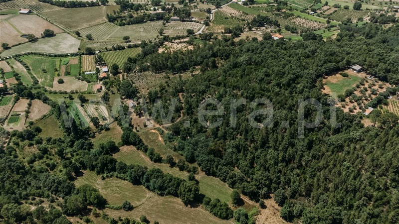 Terreno  Fundão, Fatela - 1322504 - 9