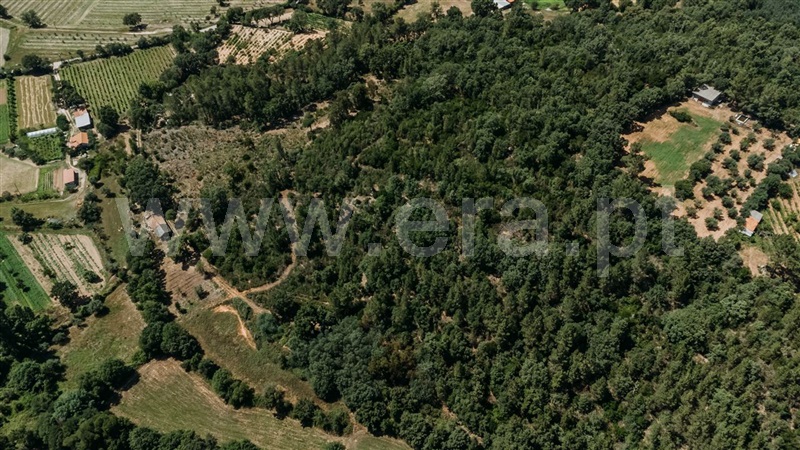 Terreno  Fundão, Fatela - 1322504 - 10
