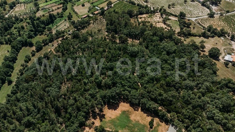 Terreno  Fundão, Fatela - 1322504 - 11