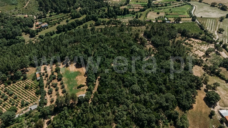 Terreno  Fundão, Fatela - 1322504 - 12