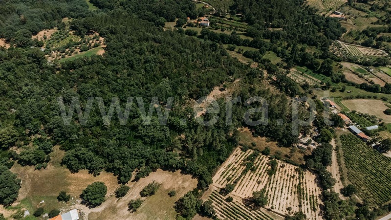 Terreno  Fundão, Fatela - 1322504 - 13