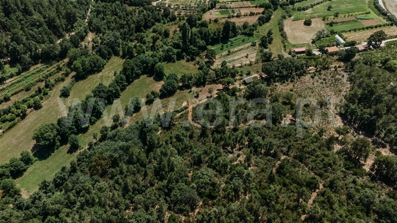Terreno  Fundão, Fatela - 1322504 - 14