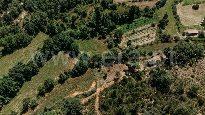 Terreno  Fundão, Fatela - 1322504 - 16