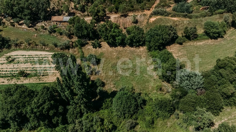 Terreno  Fundão, Fatela - 1322504 - 17
