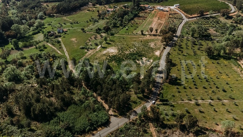 Terreno  Fundão, Fatela - 1347824 - 5