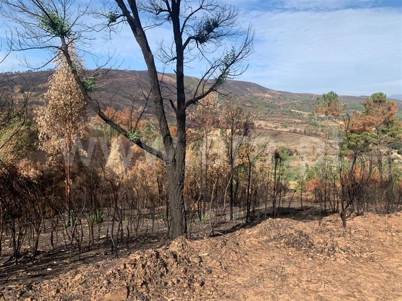 Terreno / Fundão, Freixial
