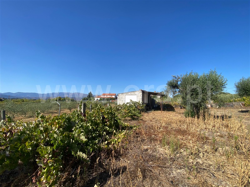 Terreno / Fundão, Fundão