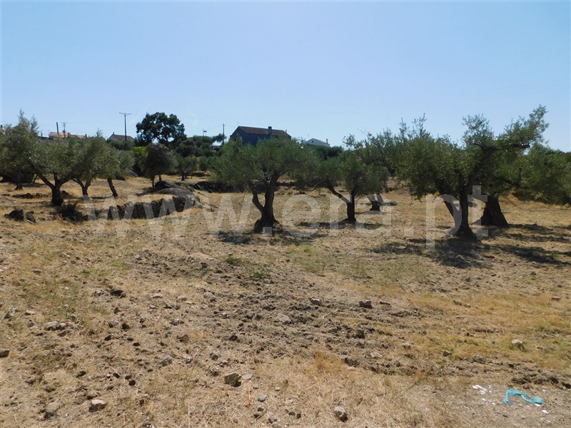 Terreno  Fundão, Martianas - 1038028 - 3