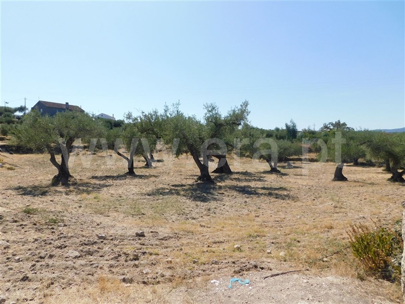 Terreno  Fundão, Martianas - 1038028 - 4
