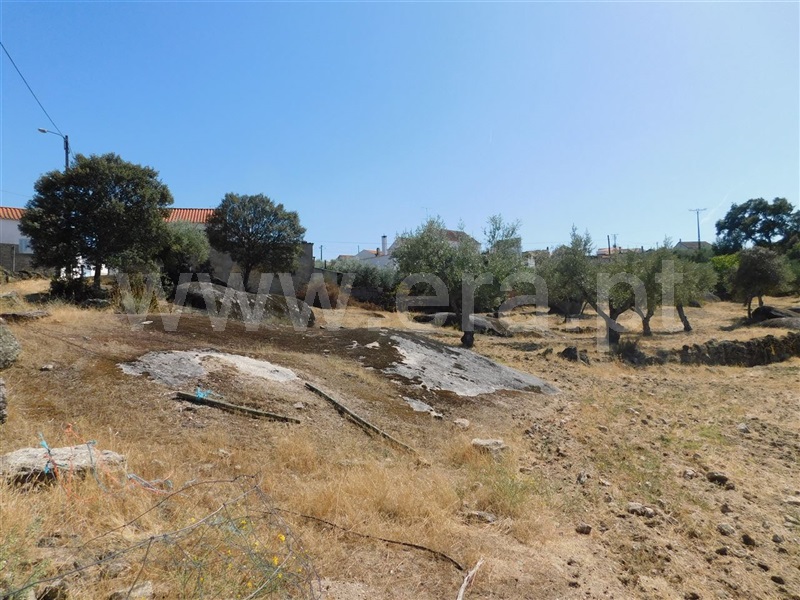 Terreno  Fundão, Martianas - 1038028 - 5