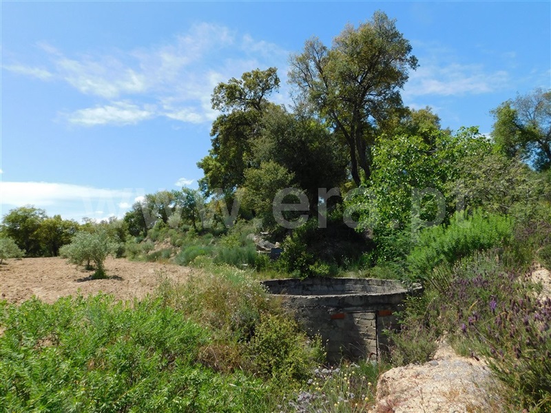 Terreno  Fundão, Mata da Rainha - 1088375 - 3