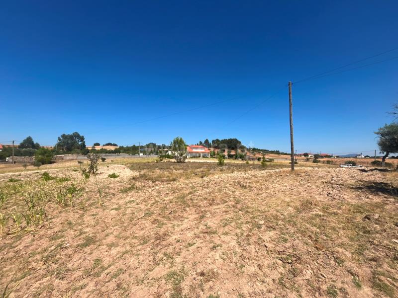Terreno / Fundão, Mata da Rainha