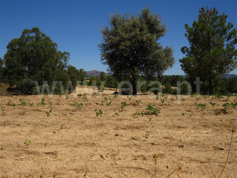 Terreno  Fundão, Orca - 1425360 - 1