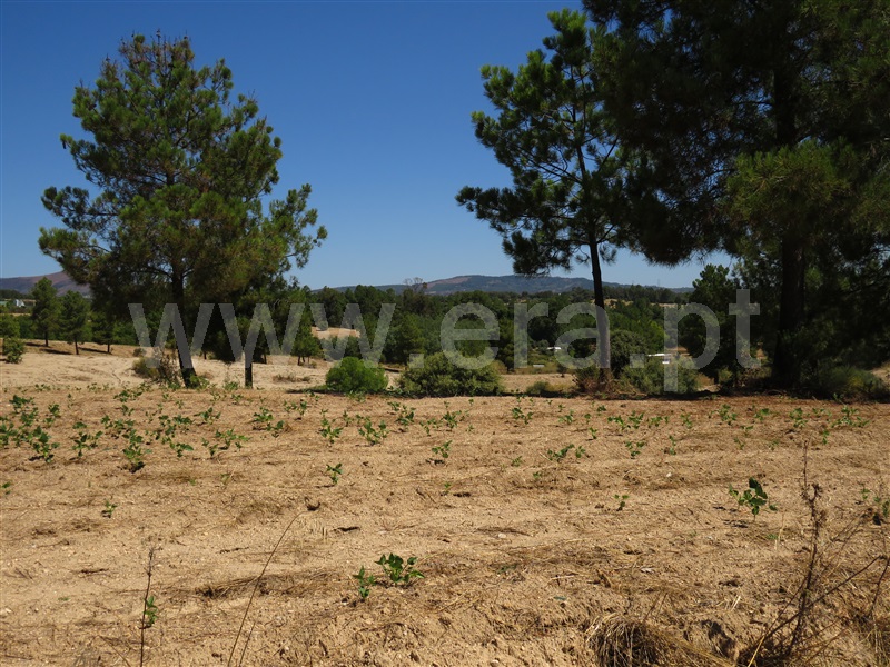 Terreno  Fundão, Orca - 1425360 - 3
