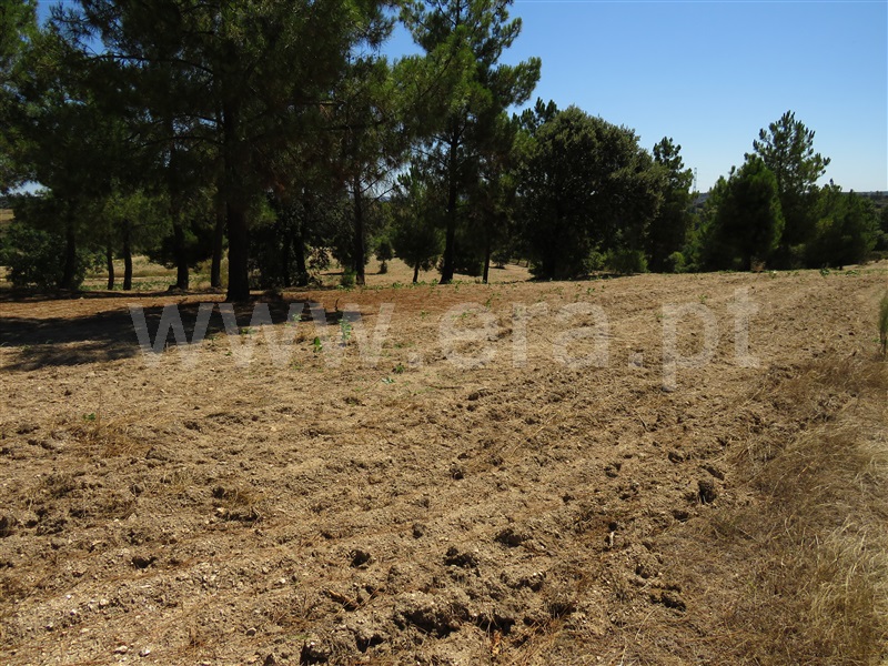 Terreno  Fundão, Orca - 1425360 - 5