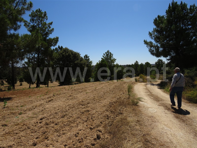 Terreno  Fundão, Orca - 1425360 - 6