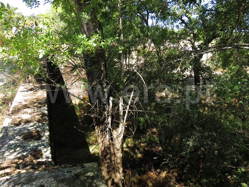 Terreno  Fundão, Orca - 1425360 - 7
