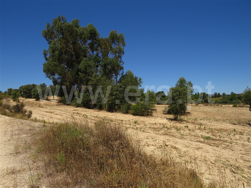 Terreno  Fundão, Orca - 1425360 - 9