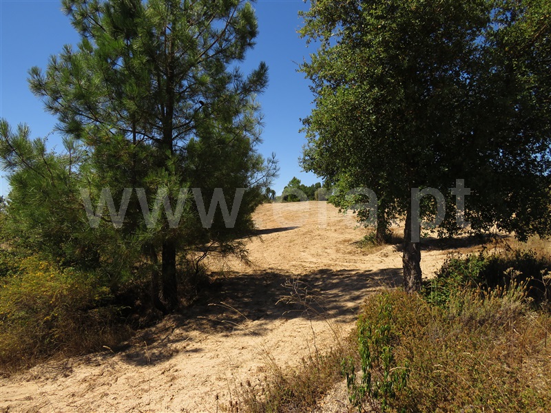 Terreno  Fundão, Orca - 1425360 - 11