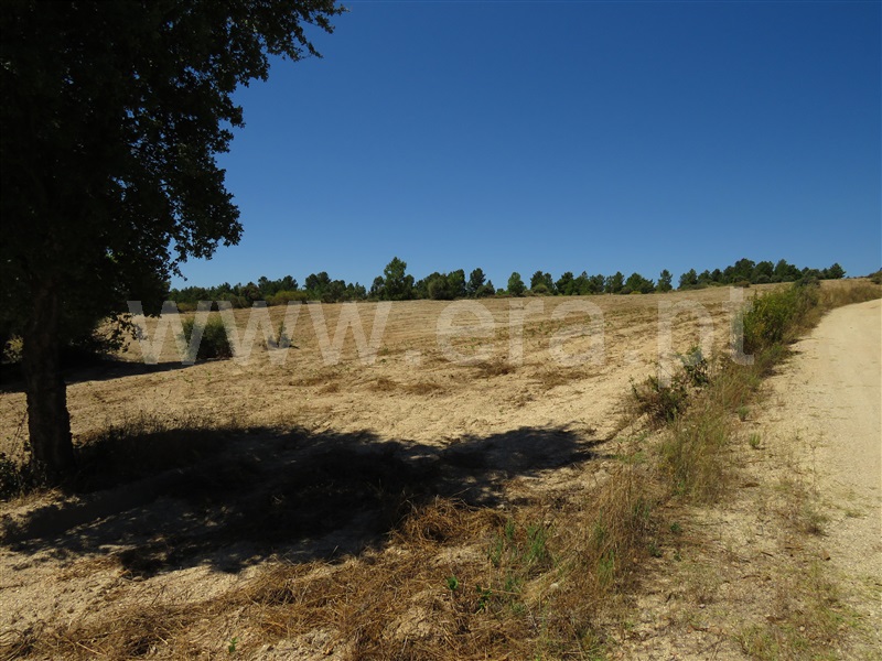 Terreno  Fundão, Orca - 1425360 - 12