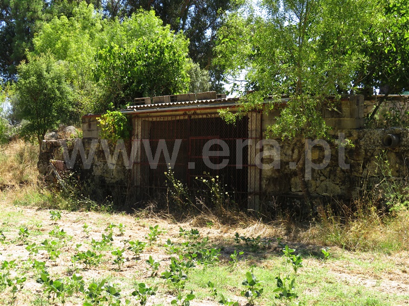 Terreno  Fundão, Orca - 1425360 - 15