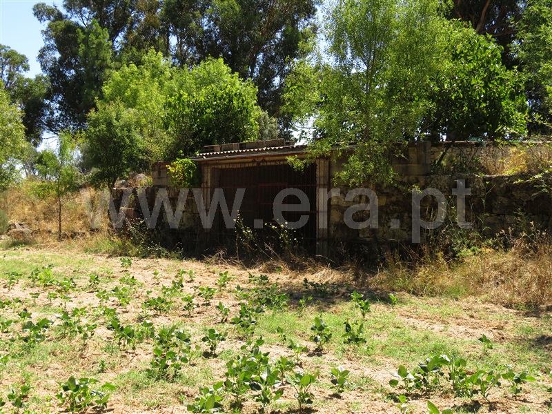 Terreno  Fundão, Orca - 1425360 - 16