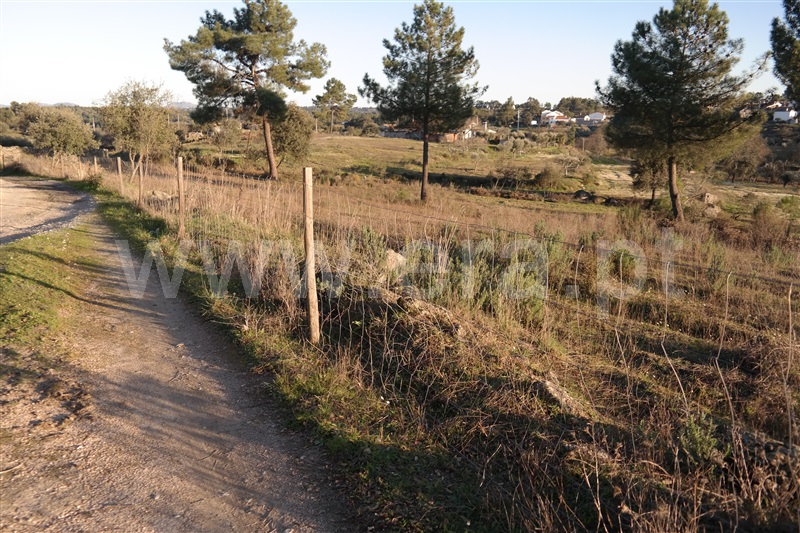 Terreno / Fundão, Orca