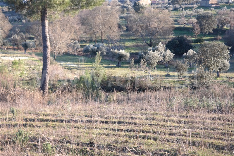 Terreno  Fundão, Orca - 1480250 - 4