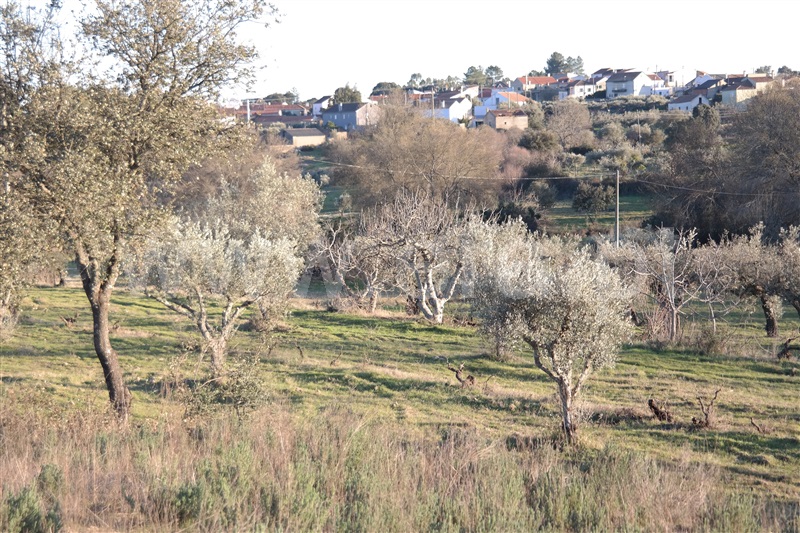 Terreno  Fundão, Orca - 1480250 - 5