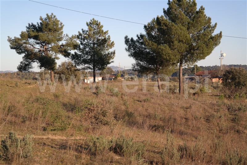 Terreno  Fundão, Orca - 1480250 - 7