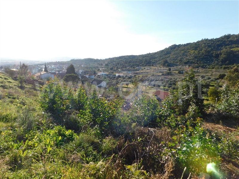 Terreno / Fundão, Pêro Viseu