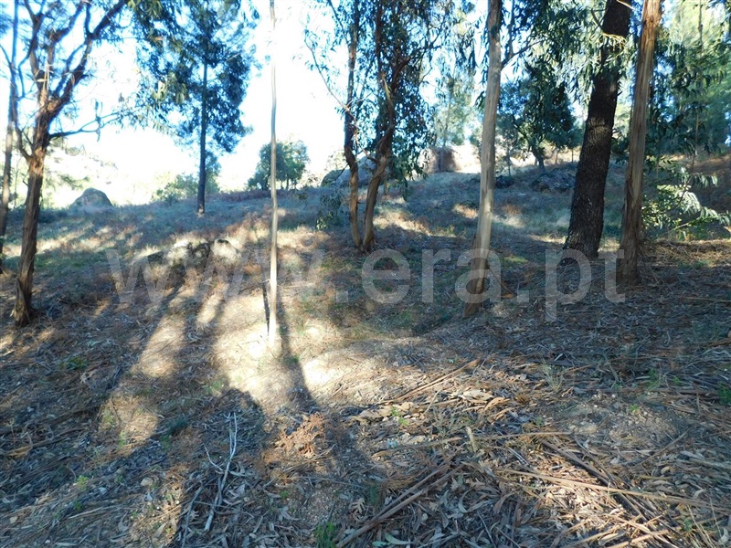 Terreno  Fundão, Pêro Viseu - 1226718 - 2