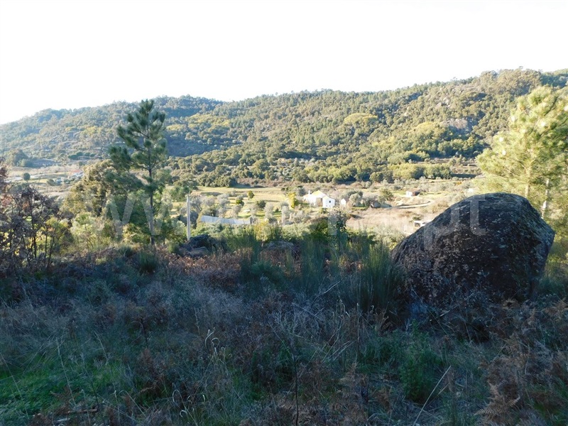 Terreno  Fundão, Pêro Viseu - 1226718 - 4