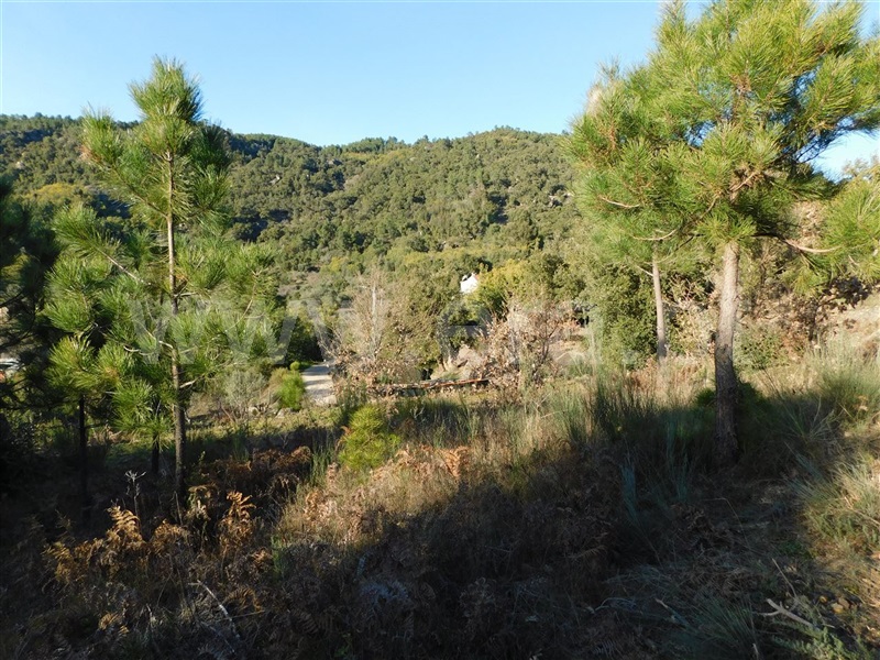 Terreno  Fundão, Pêro Viseu - 1226718 - 6