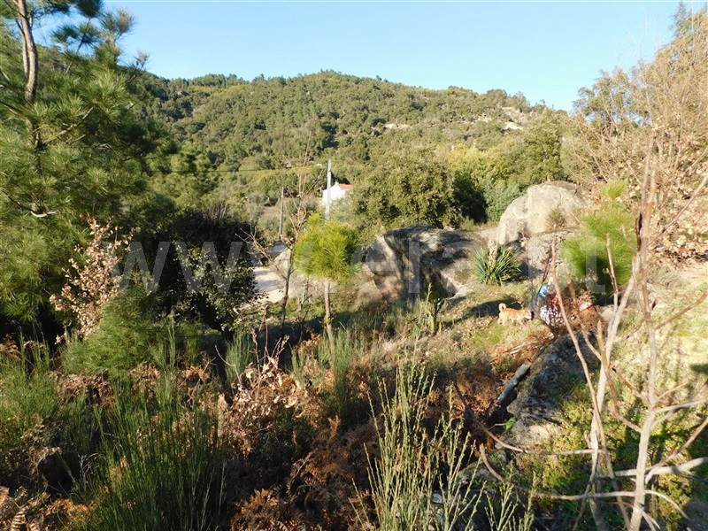 Terreno  Fundão, Pêro Viseu - 1226718 - 8