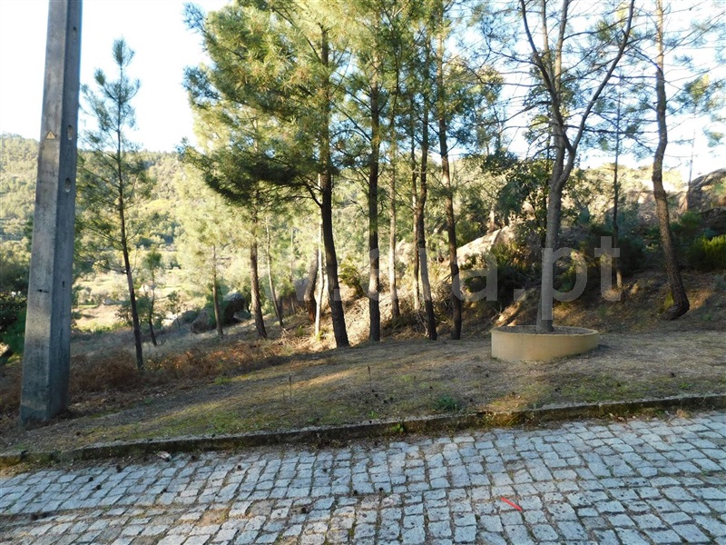 Terreno  Fundão, Pêro Viseu - 1226718 - 10