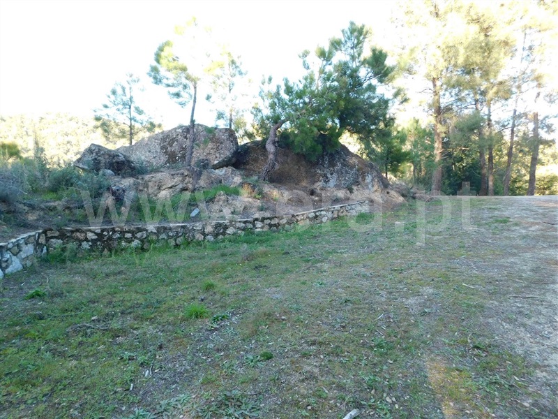 Terreno  Fundão, Pêro Viseu - 1226718 - 11